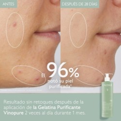 Vinopure Gelatina Limpiadora Purificante 385 ml