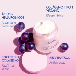 Resveratrol-Lift Crema Cachemir 50 ml Recarga