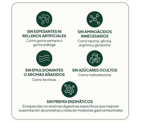 IVB Proteína Vegana 500 gramos