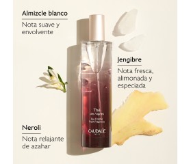 CAUDALIE COFRE THE DE VIGNES XMAS 25