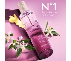 CAUDALIE COFRE THE DE VIGNES XMAS 25