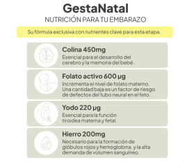 IVB GESTANATAL 60 cápsulas