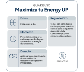 IVB ENERGY UP 60 Cápsulas