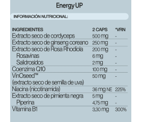 IVB ENERGY UP 60 Cápsulas