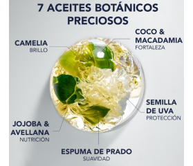 PHYTO 7 ELIXIR HUILE 100ML