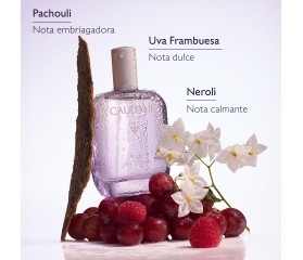 Caudalie Agua Fresca Ange des Vignes, 50 ml