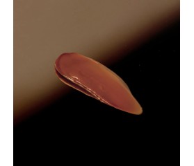 Byoode Chia Lip Therapy